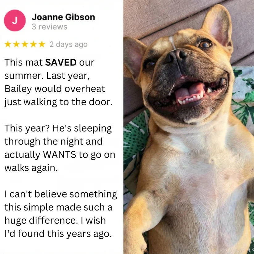 Fanyil™ DreamPaws CoolBreath Mat